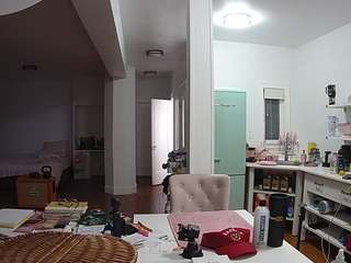 voyeurcam-celticiron-02