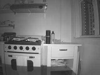 voyeurcam-celticiron-02