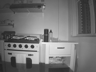 voyeurcam-celticiron-02