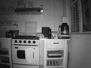 voyeurcam-celticiron-02