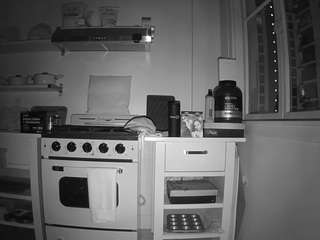 voyeurcam-celticiron-02