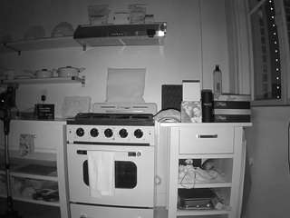 voyeurcam-celticiron-02