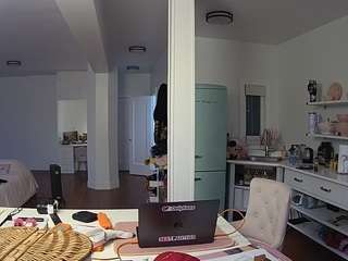 voyeurcam-celticiron-02