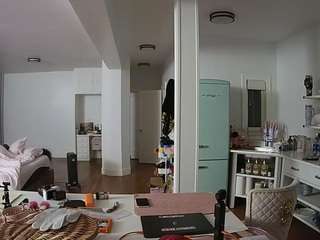 voyeurcam-celticiron-02