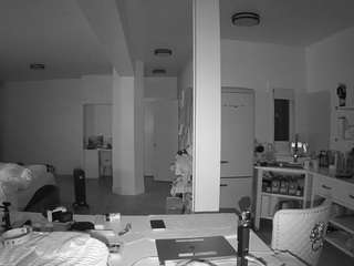 voyeurcam-celticiron-02 webcam model