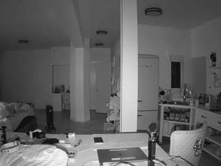 voyeurcam-celticiron-02