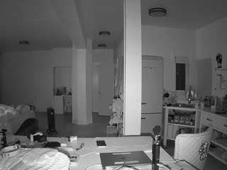 voyeurcam-celticiron-02