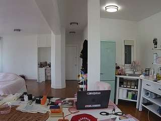 voyeurcam-celticiron-02