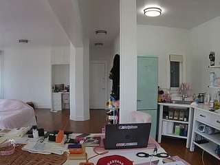 voyeurcam-celticiron-02