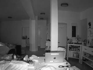 voyeurcam-celticiron-02