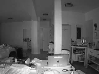 voyeurcam-celticiron-02