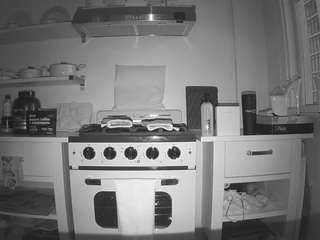 voyeurcam-celticiron-02