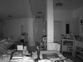 voyeurcam-celticiron-02