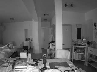 voyeurcam-celticiron-02