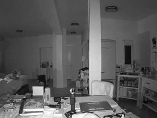 voyeurcam-celticiron-02