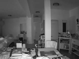 voyeurcam-celticiron-02