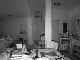 voyeurcam-celticiron-02