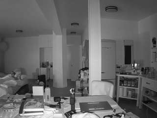 voyeurcam-celticiron-02