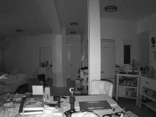 voyeurcam-celticiron-02