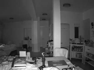 voyeurcam-celticiron-02