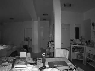 voyeurcam-celticiron-02