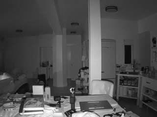 voyeurcam-celticiron-02