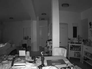 voyeurcam-celticiron-02