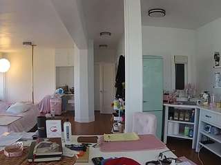 voyeurcam-celticiron-02