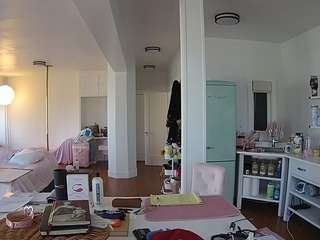 voyeurcam-celticiron-02