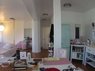 voyeurcam-celticiron-02