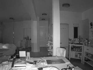 voyeurcam-celticiron-02