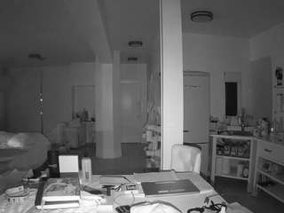 voyeurcam-celticiron-02