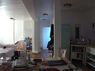 voyeurcam-celticiron-02