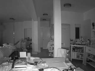 voyeurcam-celticiron-02