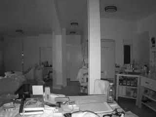 voyeurcam-celticiron-02