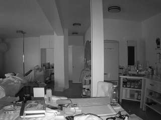 voyeurcam-celticiron-02