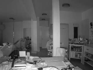 voyeurcam-celticiron-02