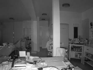 voyeurcam-celticiron-02