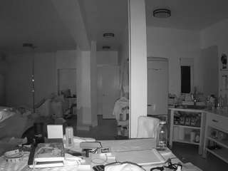 voyeurcam-celticiron-02