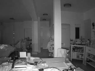 voyeurcam-celticiron-02