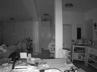 voyeurcam-celticiron-02