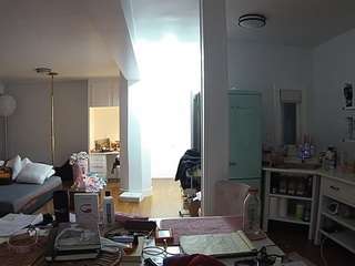 voyeurcam-celticiron-02