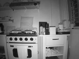 voyeurcam-celticiron-02