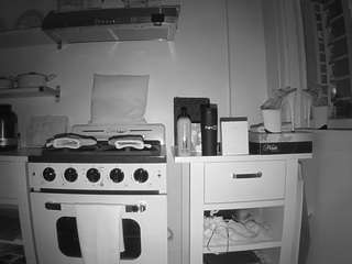 voyeurcam-celticiron-02