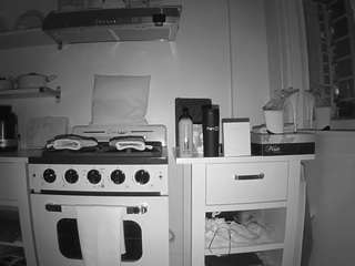 voyeurcam-celticiron-02