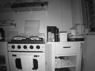 voyeurcam-celticiron-02