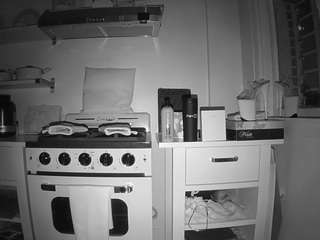 voyeurcam-celticiron-02