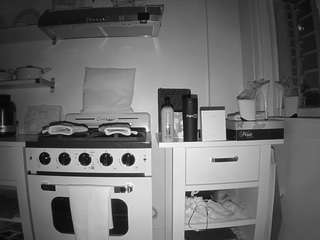 voyeurcam-celticiron-02