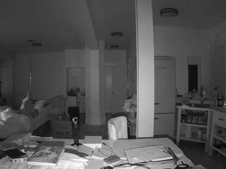 voyeurcam-celticiron-02