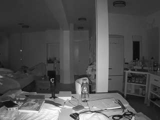 voyeurcam-celticiron-02